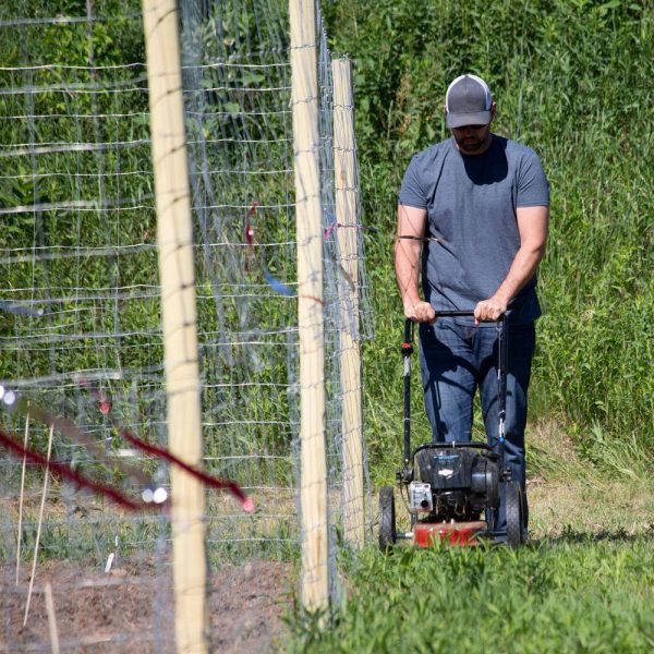 Toro 58620 22 in. 163cc Walk Behind String Mower， Cutting Swath with 4-Cycle Briggs and Stratton Engine - Image 3