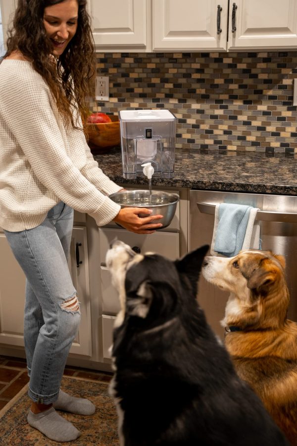 Epic Countertop Water Dispenser Drinking - Image 6