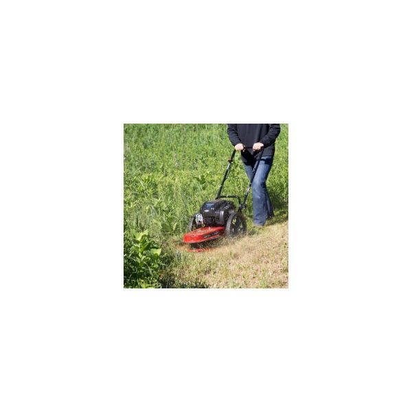 Toro String Mower Briggs and Stratton 163cc 4 Cycle 22" 58620 from Toro💝 Last Day For Clearance - Image 3