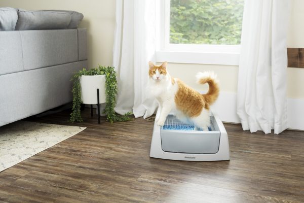 ScoopFree Complete Self-Cleaning Litter Box - No Scooping Required - Unbeatable Odor Control - Image 10